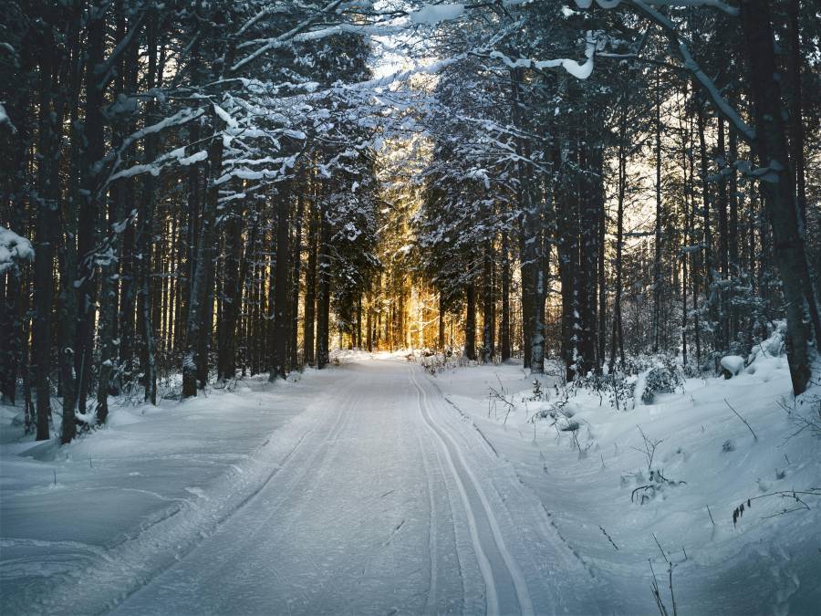 Winter